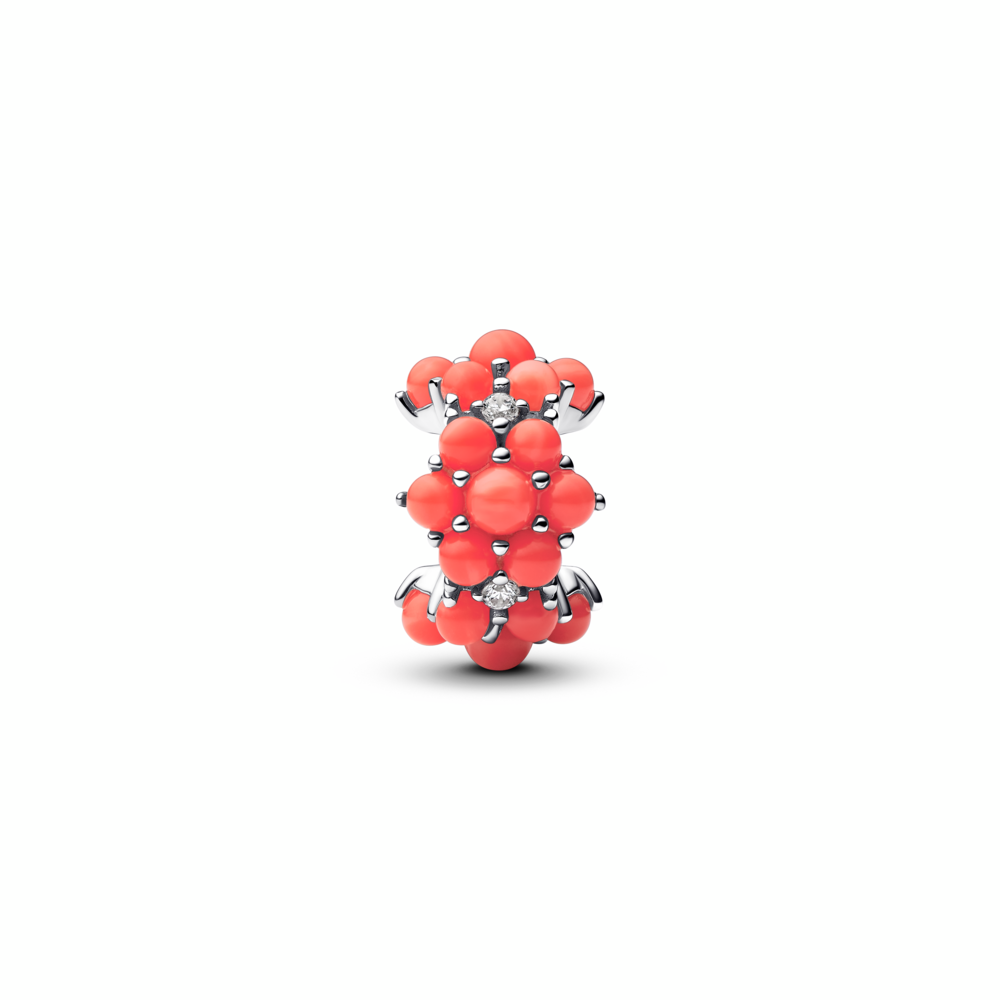 Coral-coloured Ocean Charm