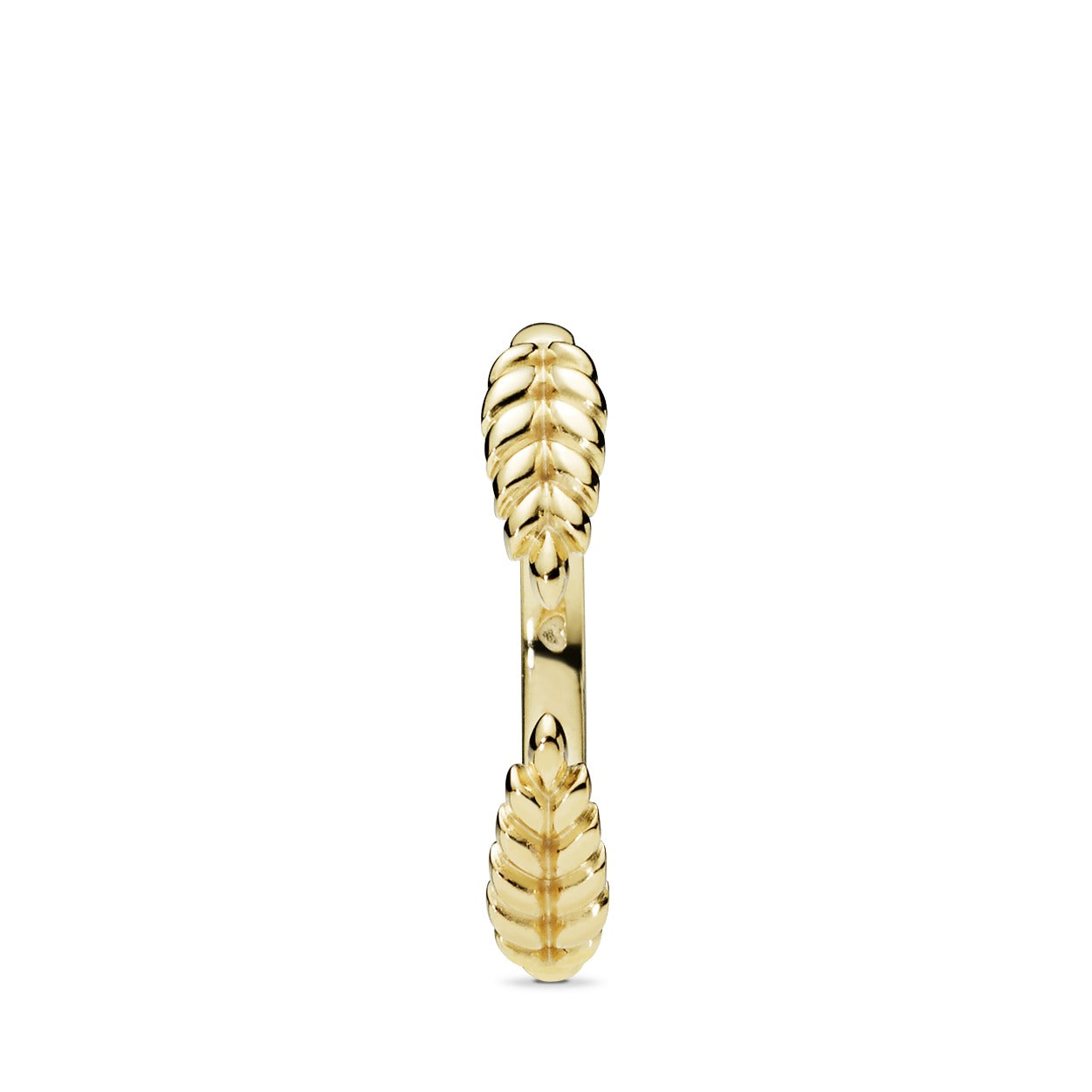 Seeds 14k Gold Plated open ring