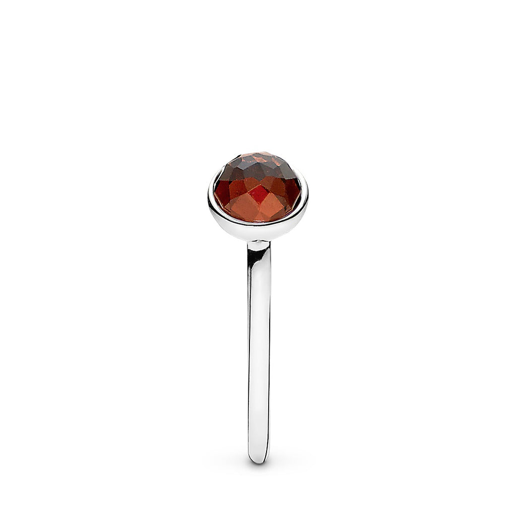 January pandora ring hot sale