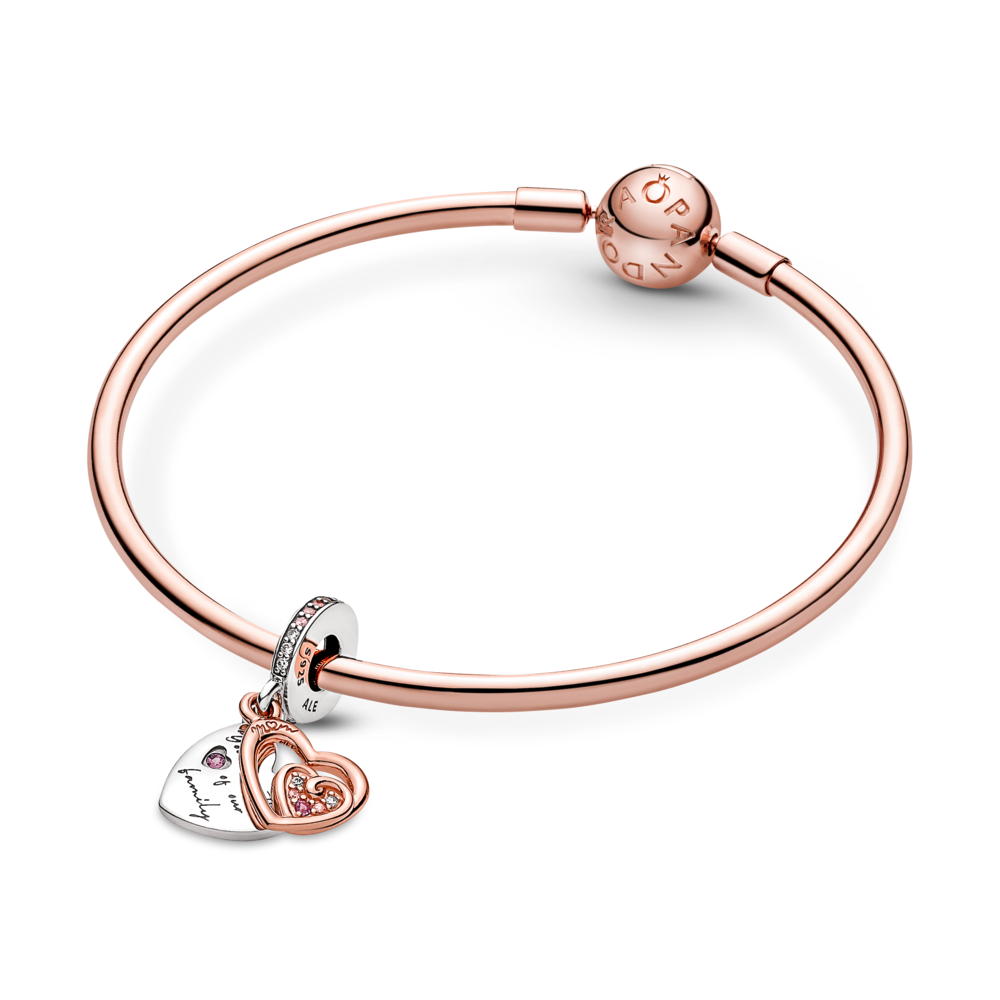 Entwined Infinite Hearts Double Dangle Charm