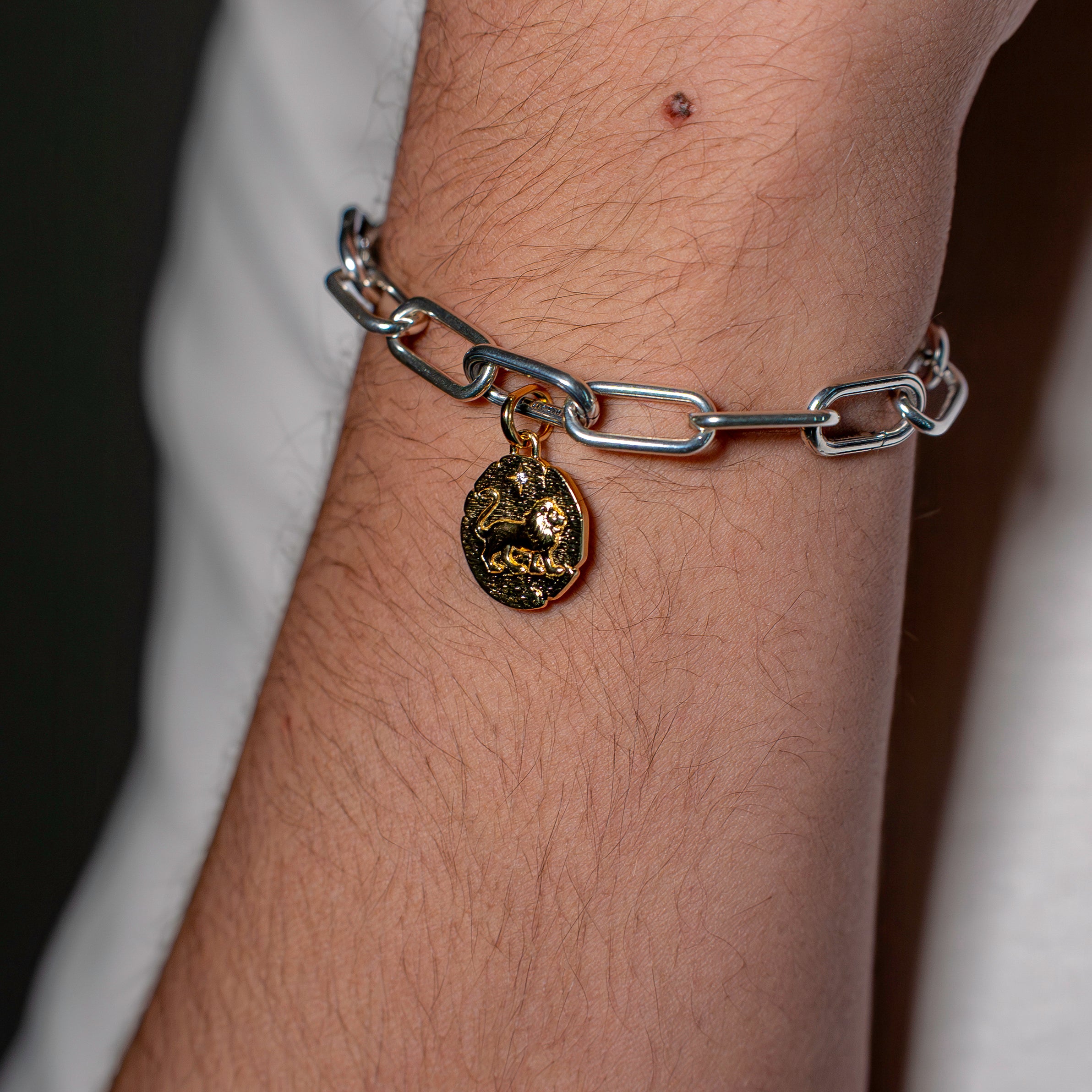 Lion Medallion Charm
14k gold plating