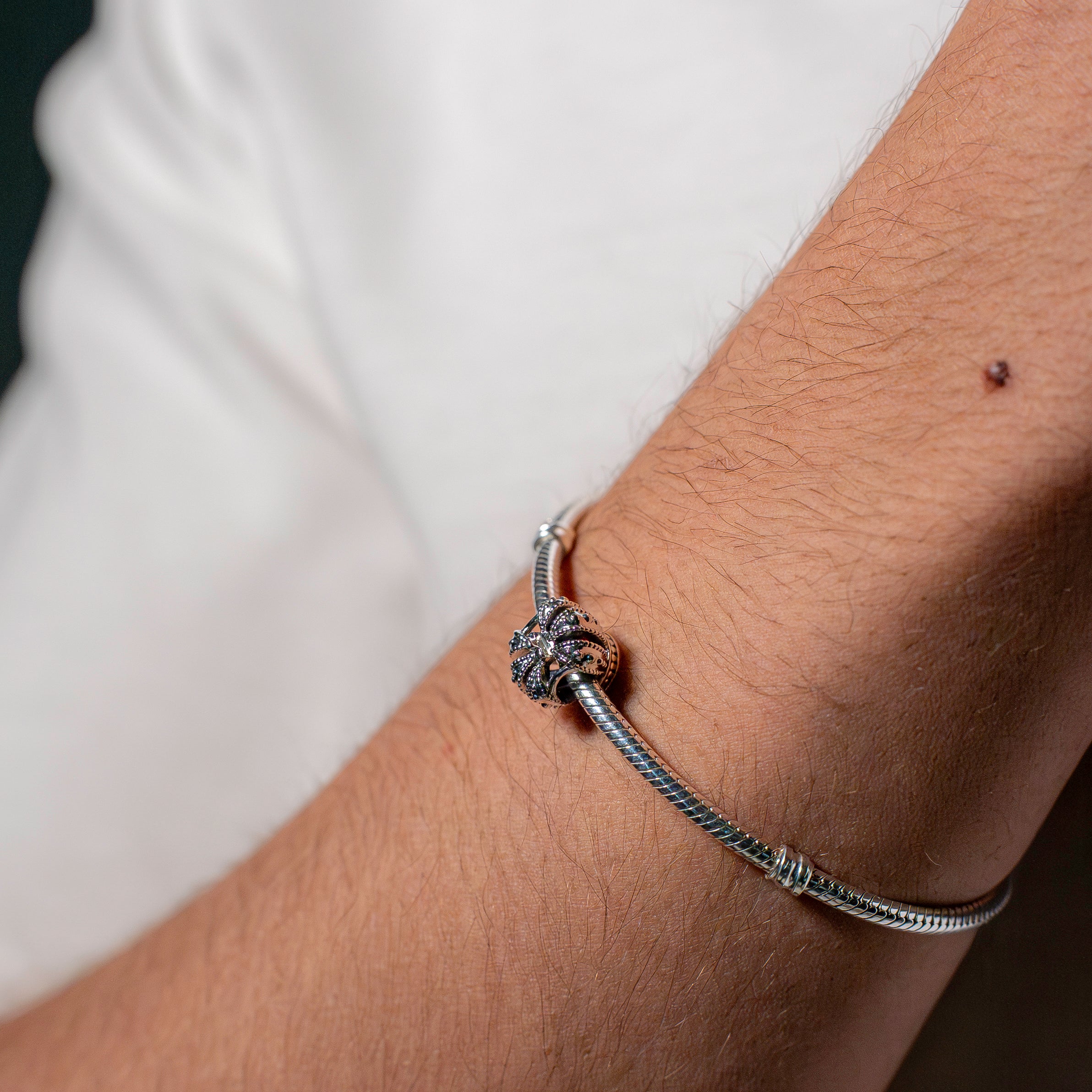 Crown silver charm