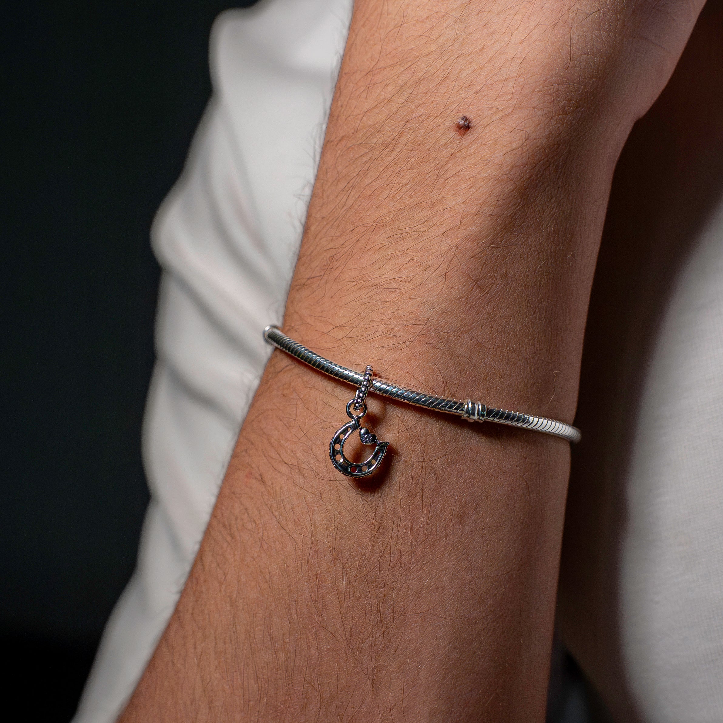 Good Luck Horseshoe Dangle Charm
