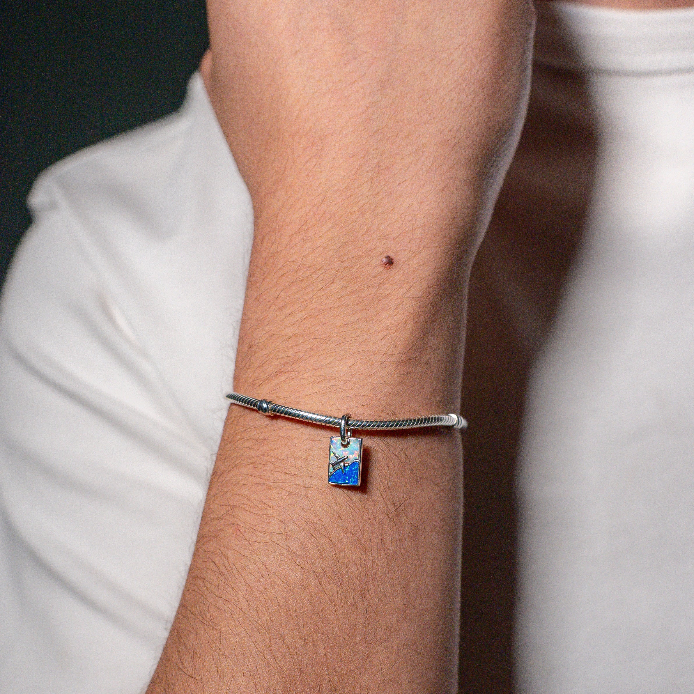 Travel Dangle Charm
