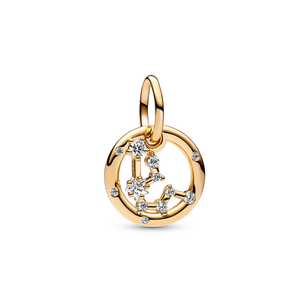 Aquarius Zodiac Dangle Charm