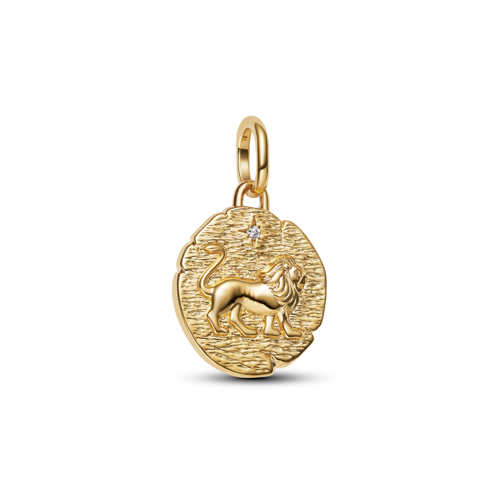Lion Medallion Charm
14k gold plating