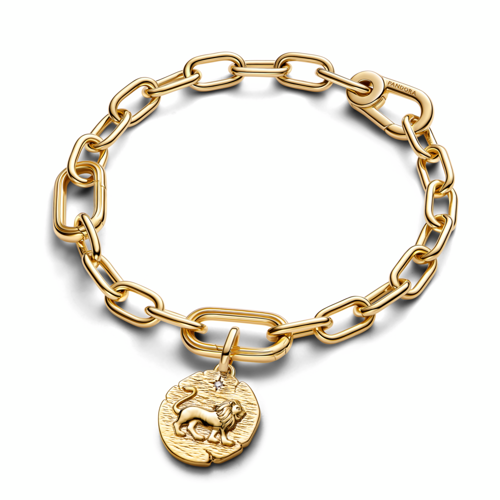 Lion Medallion Charm
14k gold plating