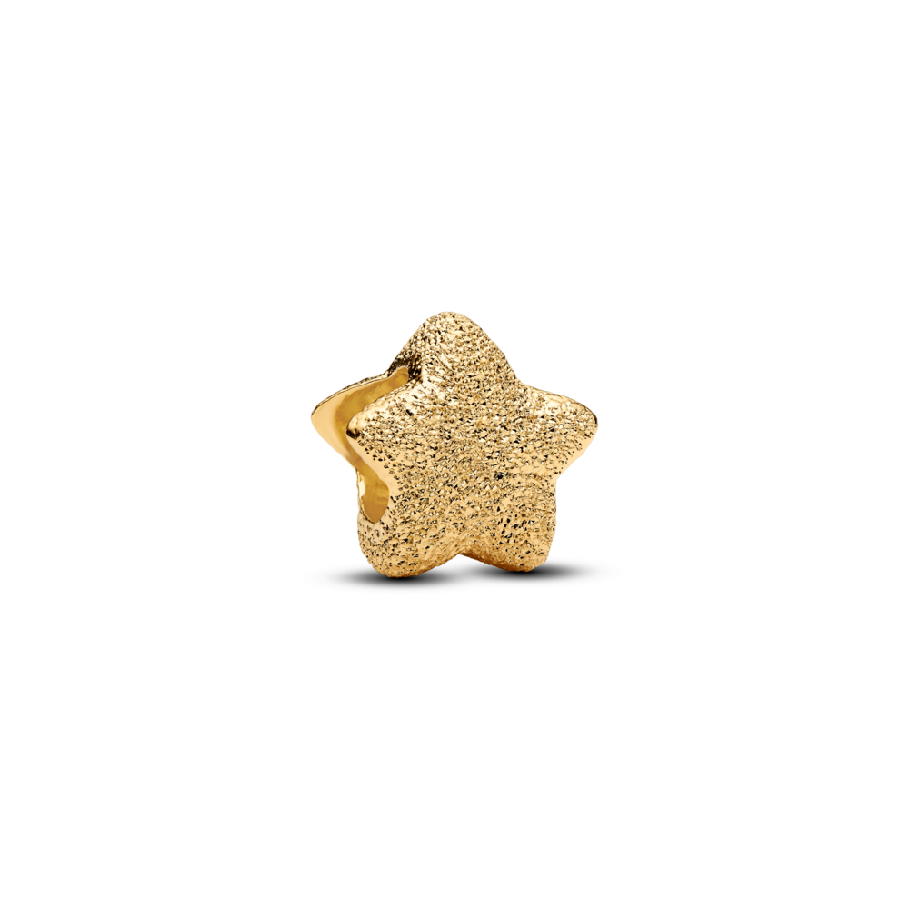 Textured Star Mini Charm
14k gold plating