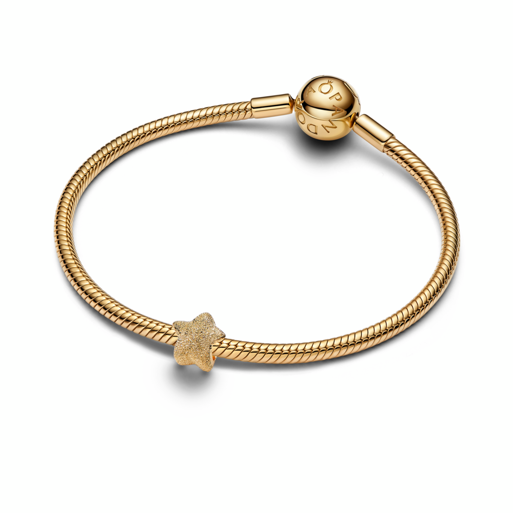 Textured Star Mini Charm
14k gold plating