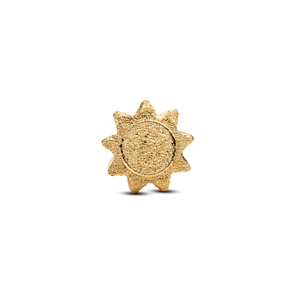 Textured Sun Mini Charm
14k gold plating