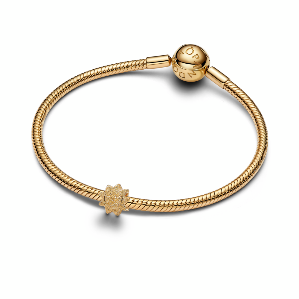 Textured Sun Mini Charm
14k gold plating