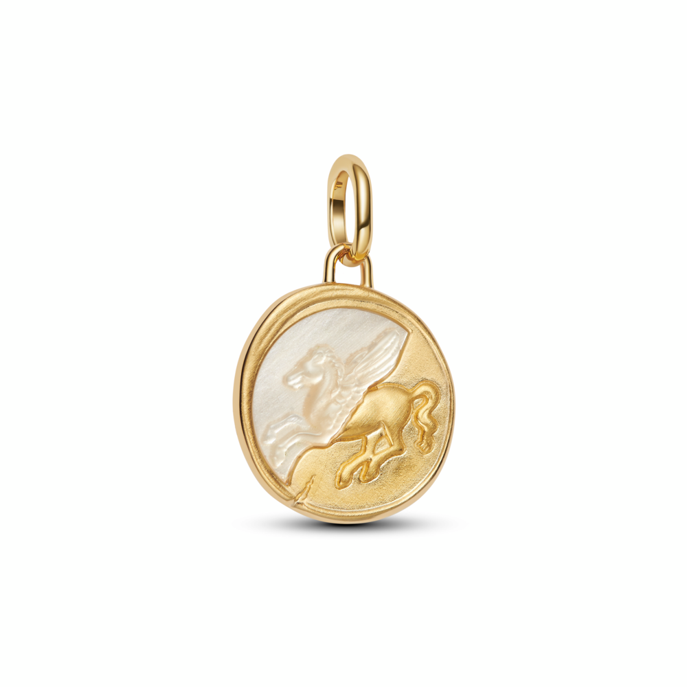 Pegasus Medallion Charm
Sterling silver, 14k gold plating