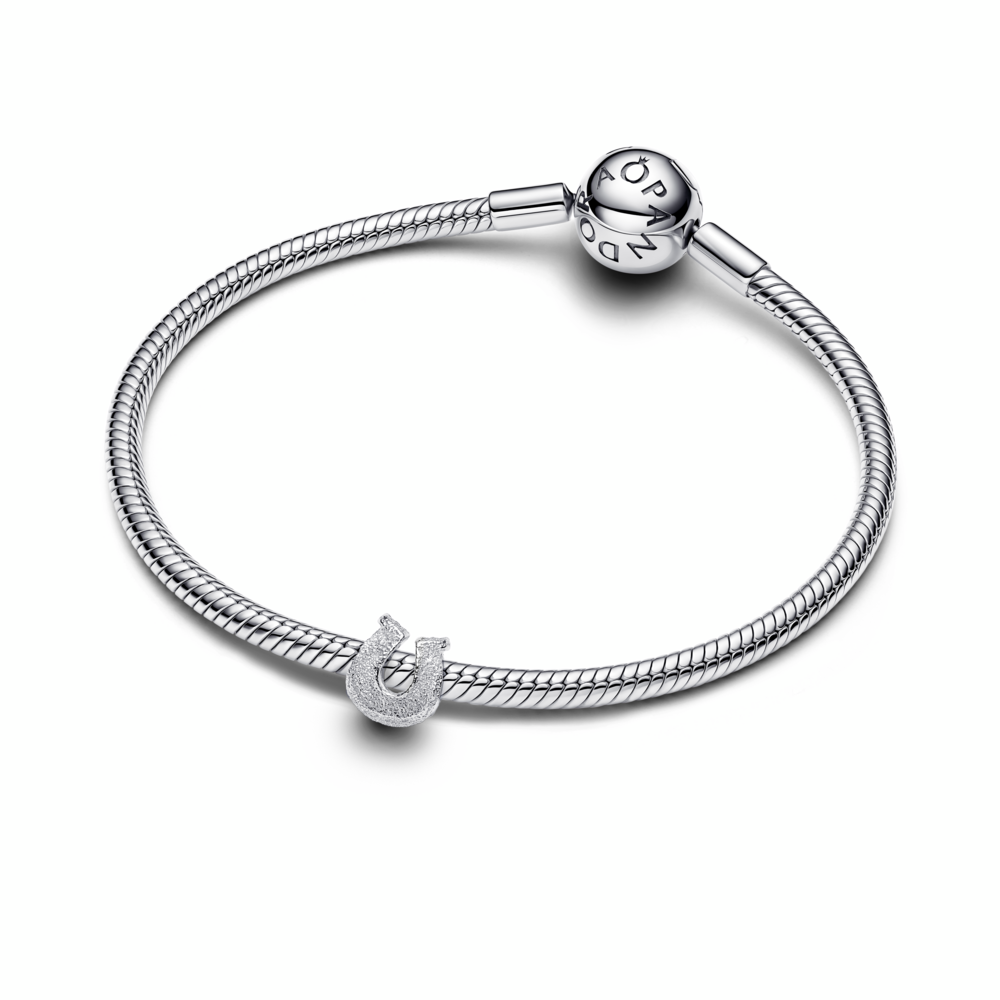 Textured Horseshoe Mini Charm
Sterling silver