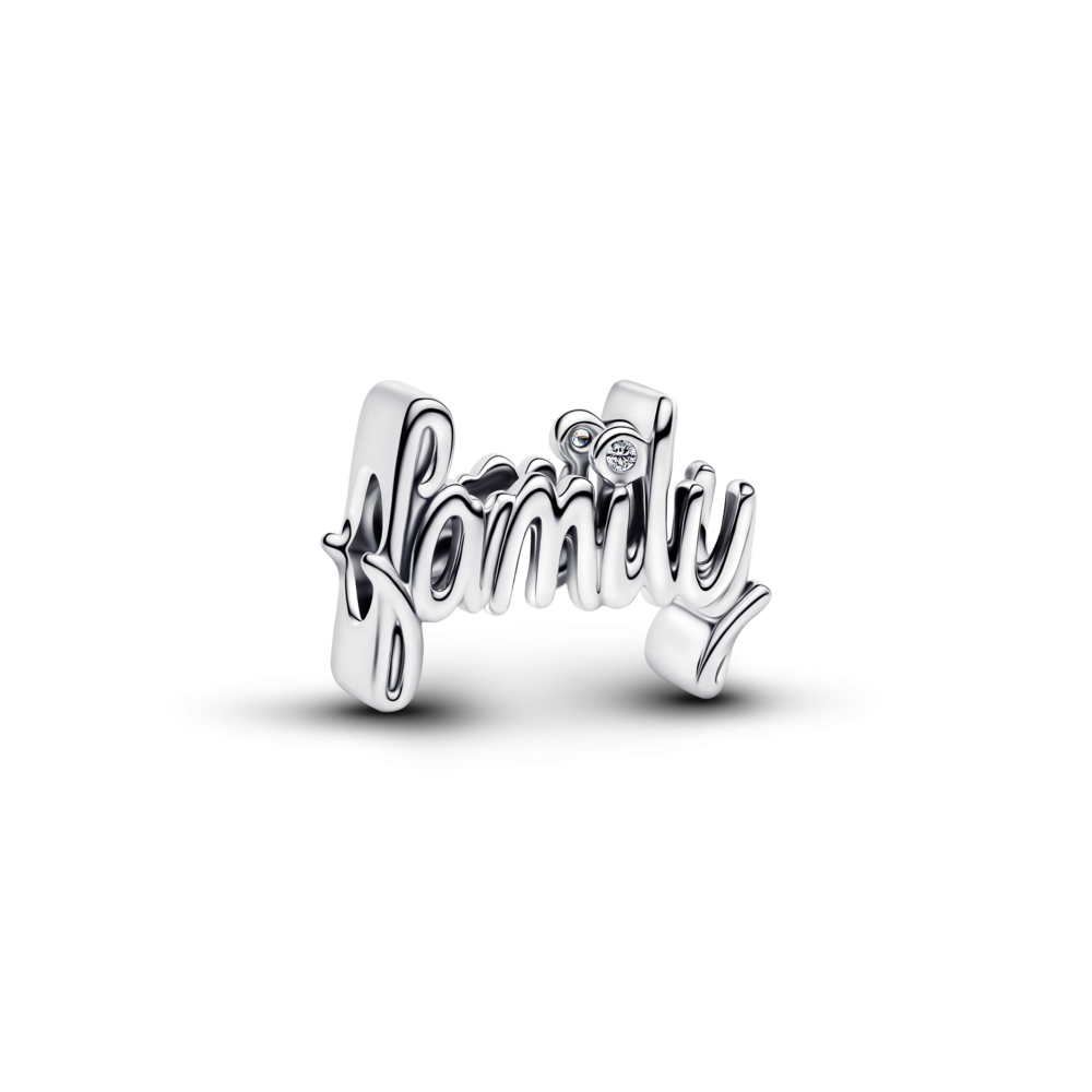 Family sterling silver charm with clear cubic zirconia