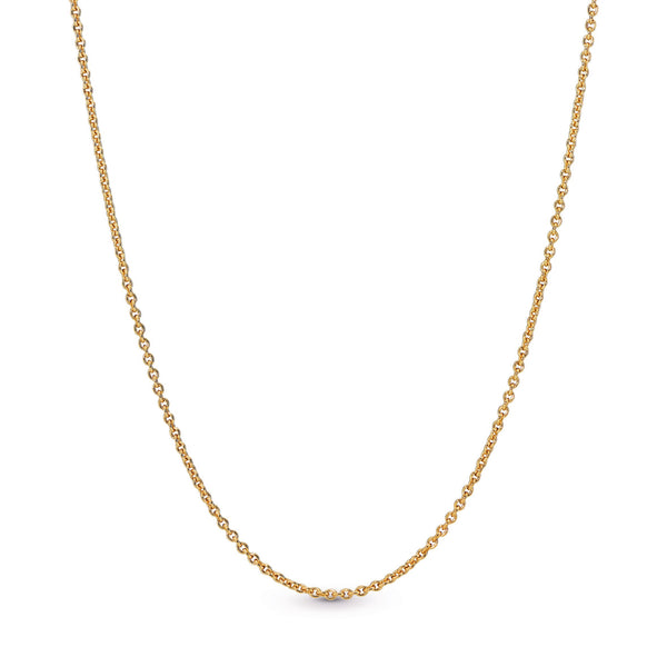 14k Gold Plated  necklace