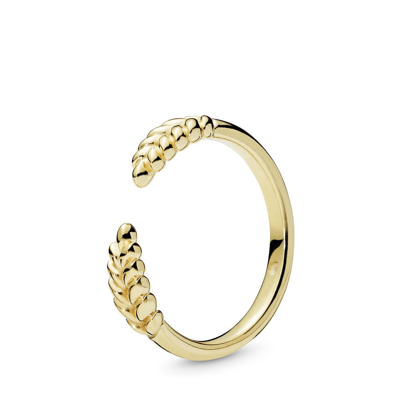 Seeds 14k Gold Plated  open ring