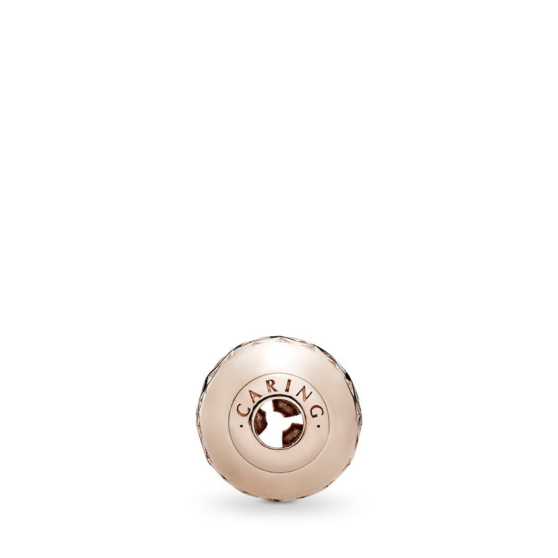 CARING ESSENCE COLLECTION charm in PANDORA Rose