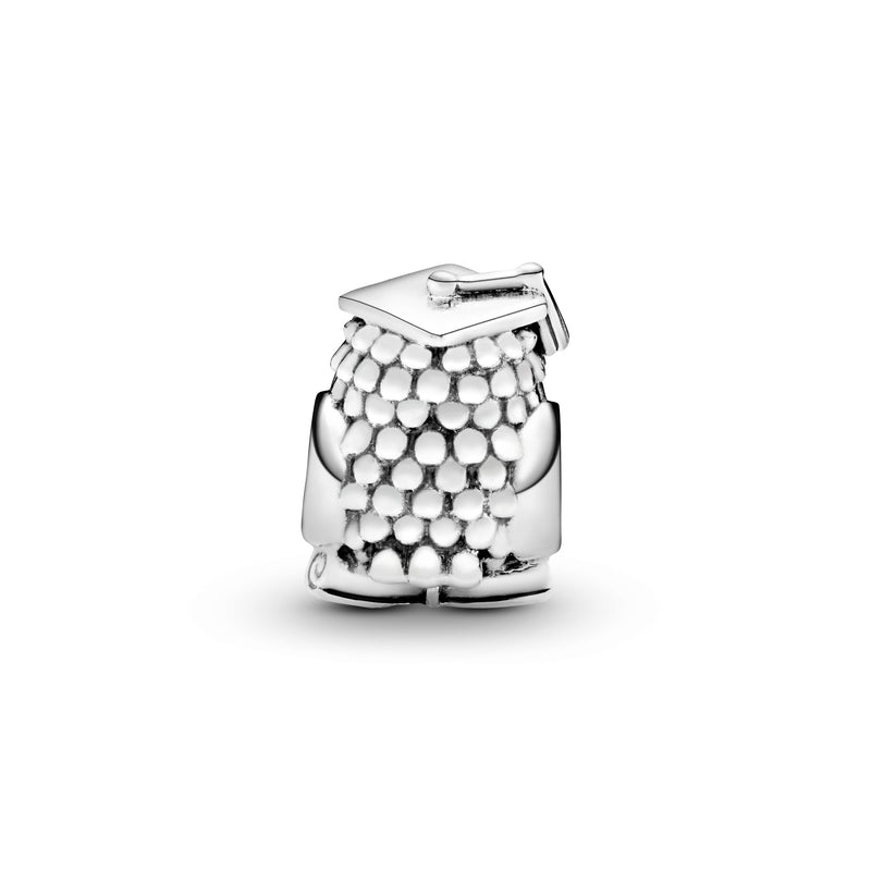 Owl silver charm with swiss blue crystal and cubic zirconia