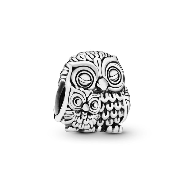 Owl family silver charm